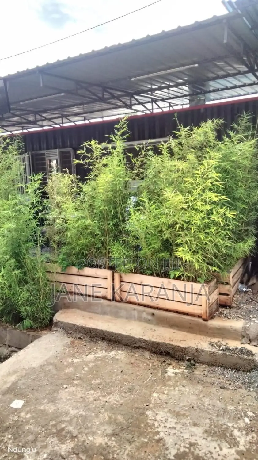Hotel Quick Sale Buru Buru 2.5m