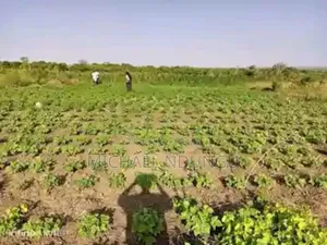 Malindi Land for Sale