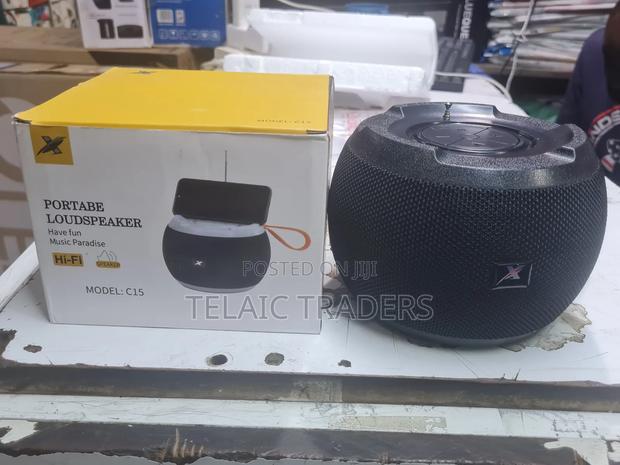 C 15 Portable Loudspeaker