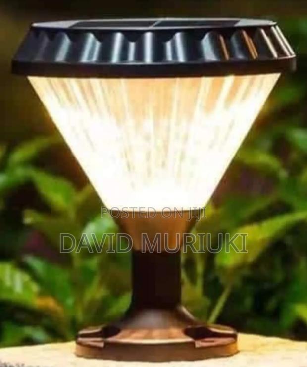 Bright Garden Lights. - main view