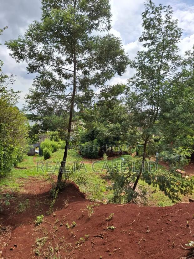 Prime 1/2 Acre Plot for Sale in Runda Mumwe - thumbnail 4