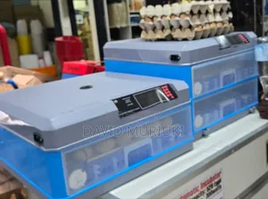136eggs Drawer Type Eggs Incubator
