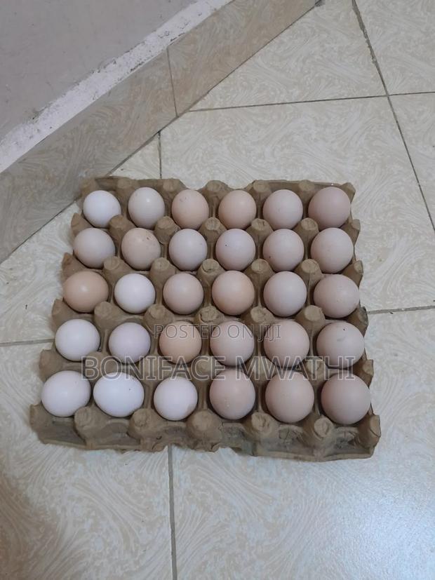 Fertilised Improved Kienyeji Eggs - main view
