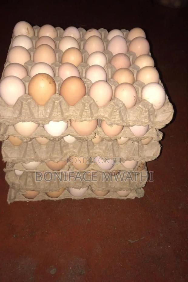 Fertilised Improved Kienyeji Eggs - thumbnail 2