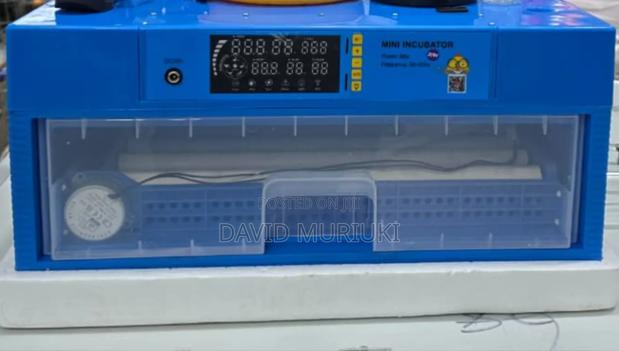 68 Eggs Drawer Type Eggs Incubator