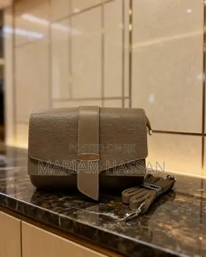 Handbags/ Sling Bag