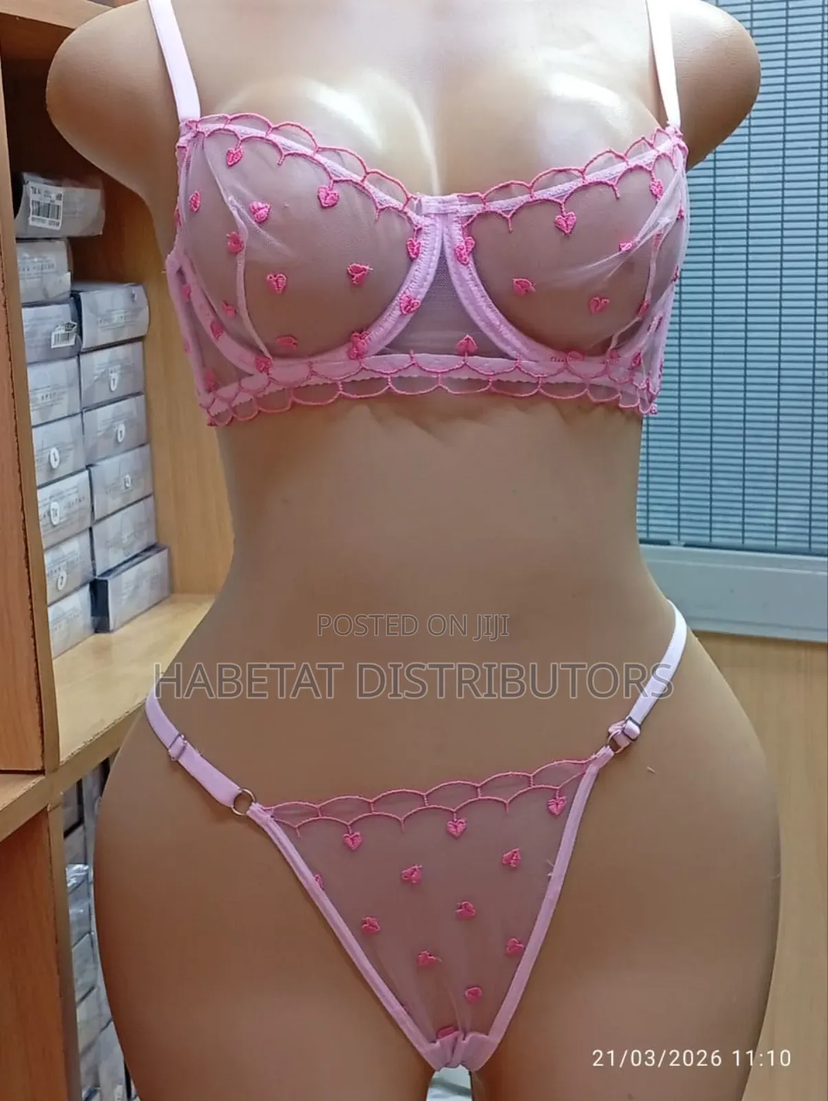 Mesh Lingerie