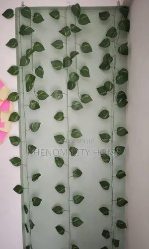 Aesthetic Green Vines/Money Plant