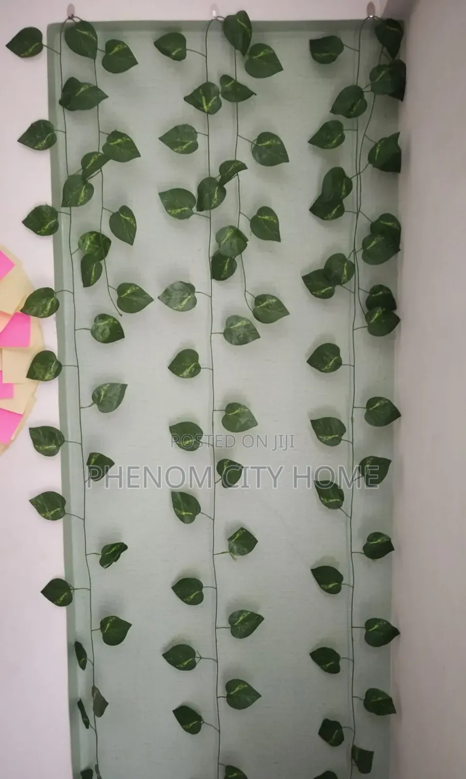 Aesthetic Green Vines/Money Plant