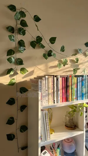 Aesthetic Green Vines/Money Plant