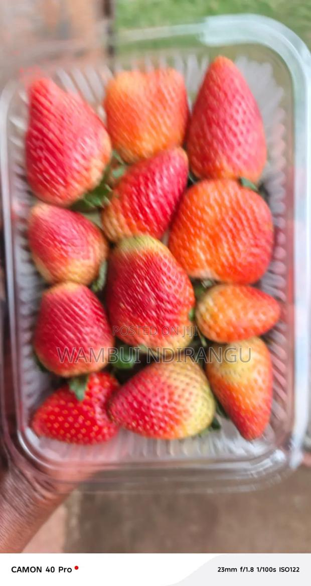 Fresh Strawberries - thumbnail 2