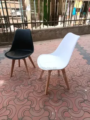 Padded Plastic Salon Chair