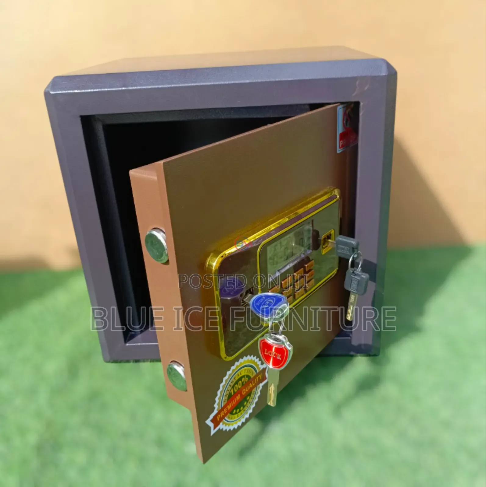 40kg Biometric Safebox