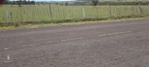 Land and Plots