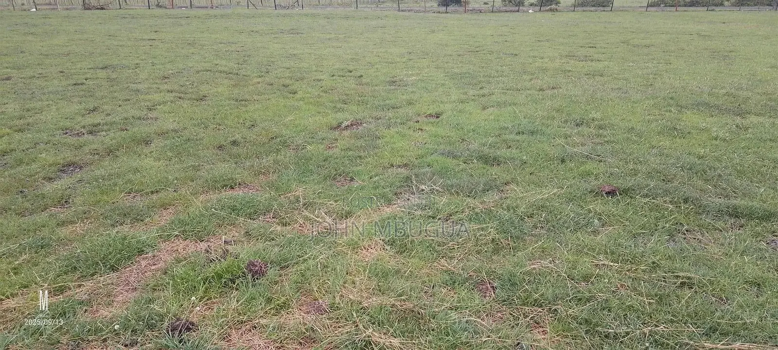 Land and Plots