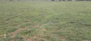 Land and Plots