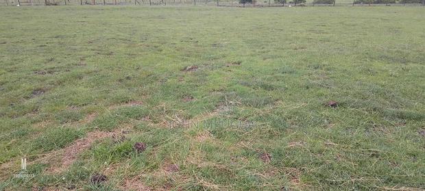 Land and Plots