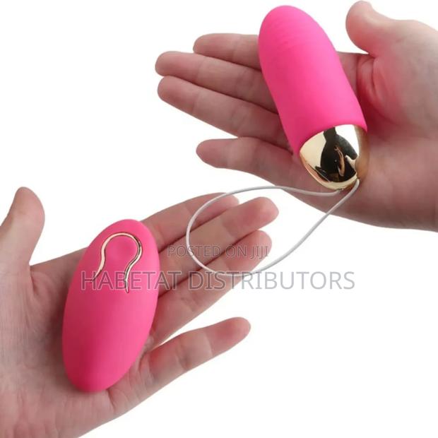 Vibrating Egg and Remote