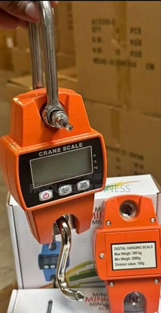 Rechargeable 300kg Digital Weighing Crane Scale