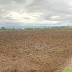 1/8th Acre Plot for Sale in Mutaita, Nakuru - thumbnail 2