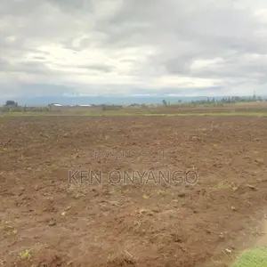1/8th Acre Plot for Sale in Mutaita, Nakuru