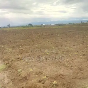 1/8th Acre Plot for Sale in Mutaita, Nakuru