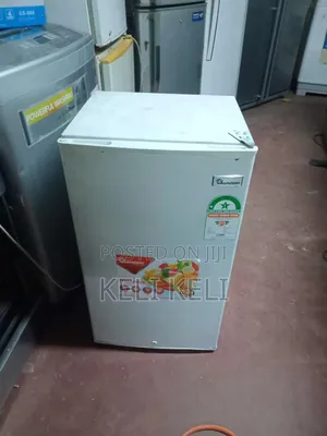 Fridge Repair