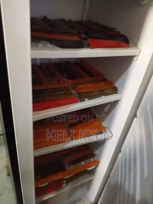 Freezer Repair