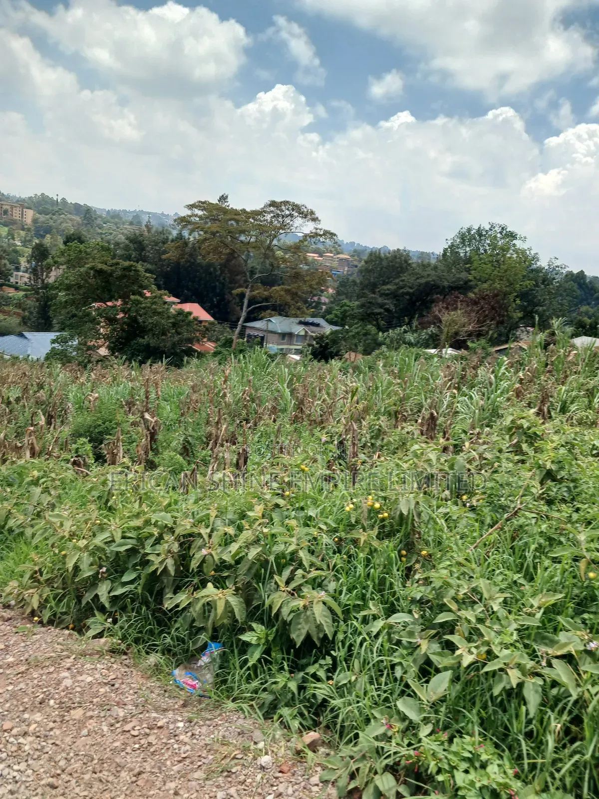 1/4 Prime Land for Sale in Uthiru