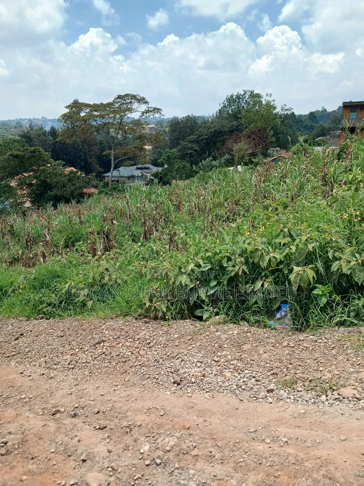 1/4 Prime Land for Sale in Uthiru