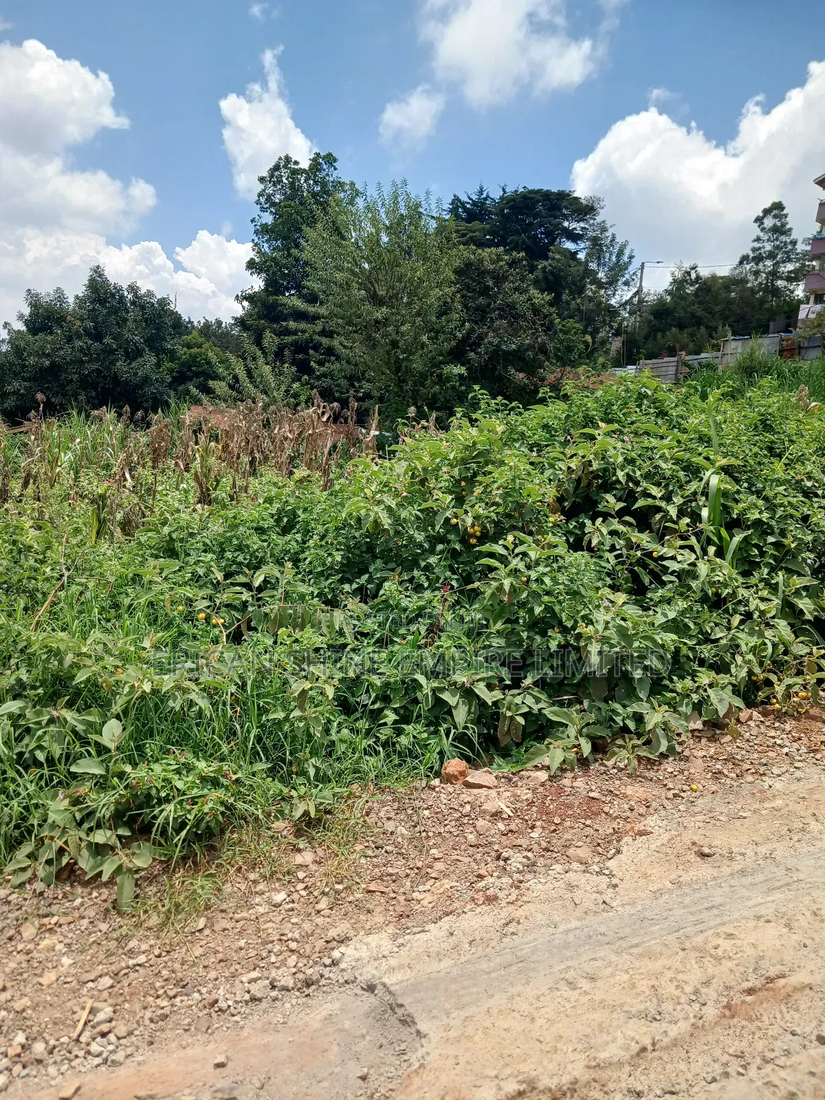 1/4 Prime Land for Sale in Uthiru