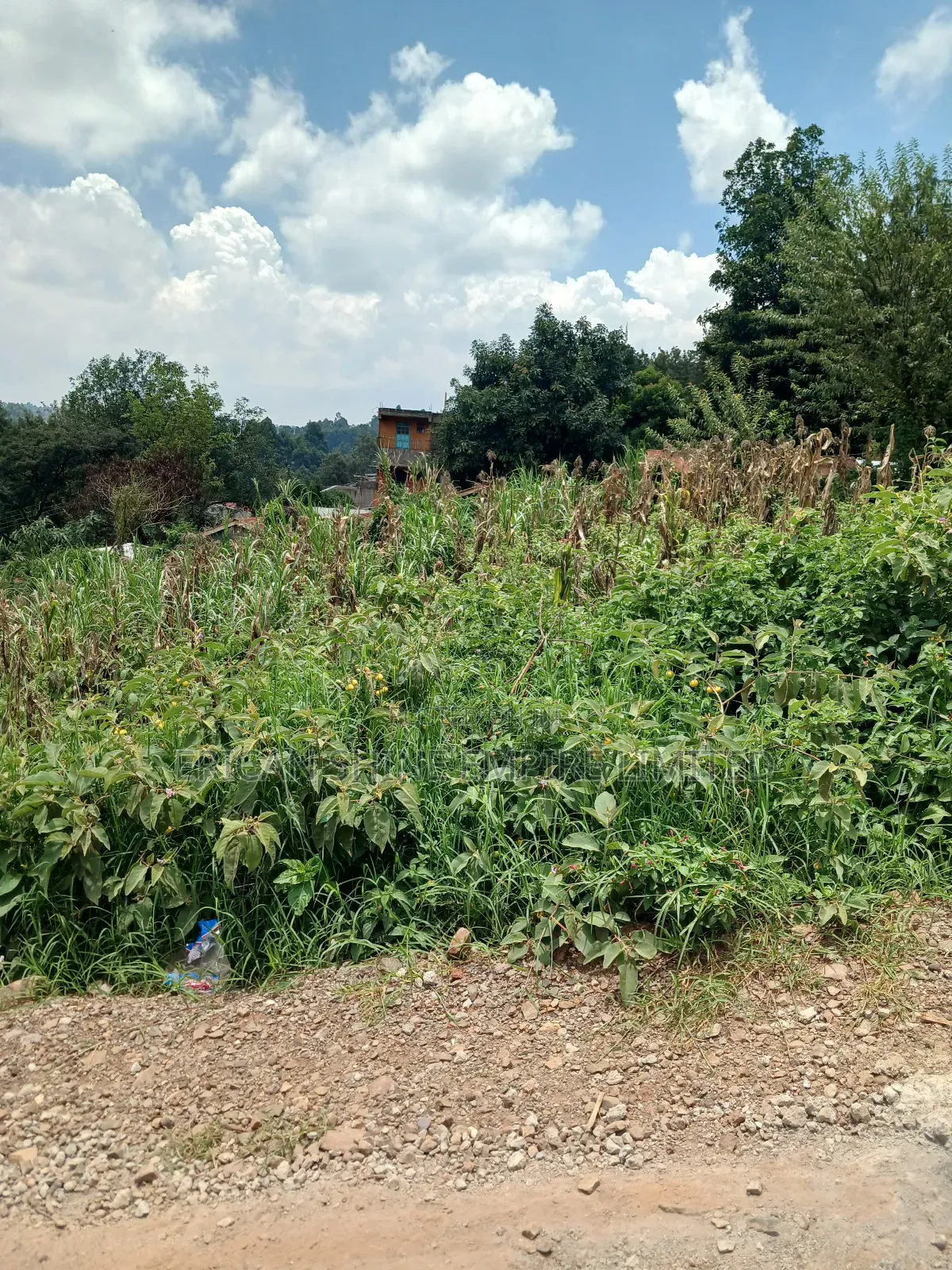 1/4 Prime Land for Sale in Uthiru