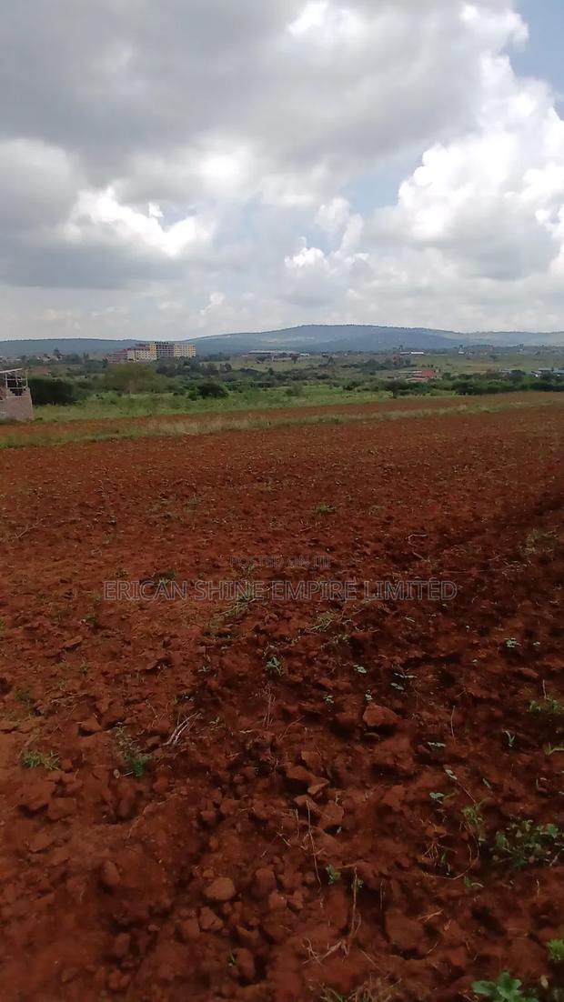2 Acres for Sale - thumbnail 4