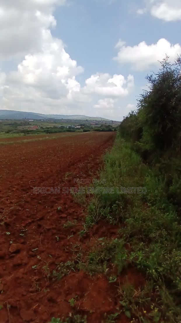 2 Acres for Sale - thumbnail 5