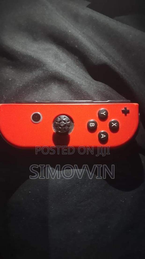 Singar Ninentdo Switch Joy-Con