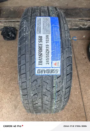 245/55zr19 Goddard