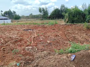 1⁄8acre Plot for Sale in Kipkorgot