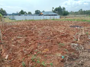 1⁄8acre Plot for Sale in Kipkorgot