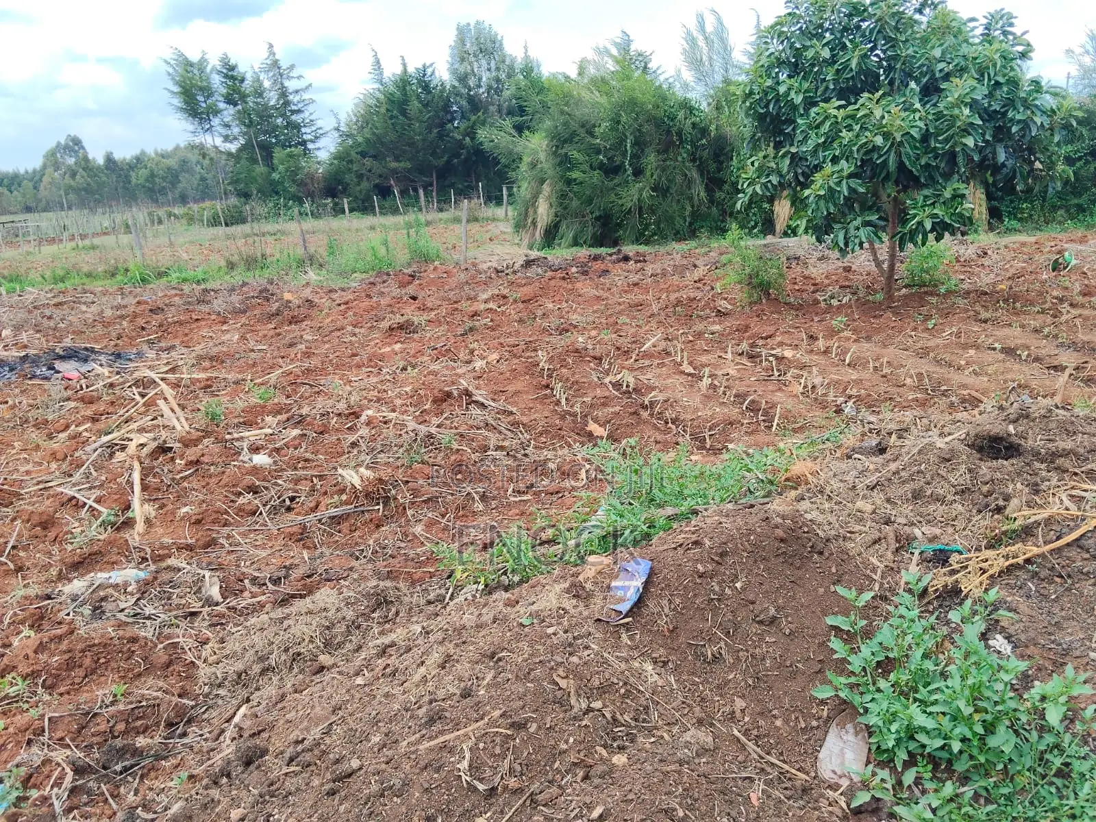 1⁄8acre Plot for Sale in Kipkorgot