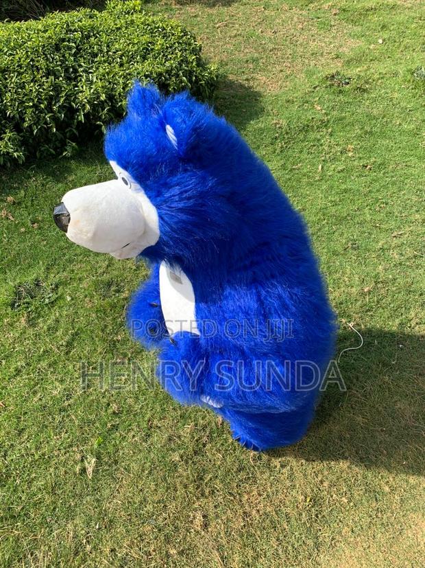 Mascots for Sale