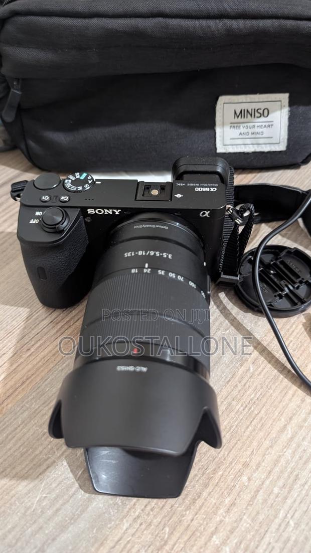 Sony A6600