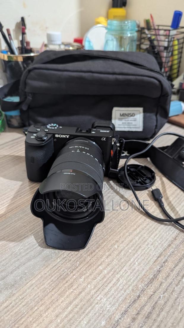Sony A6600 - thumbnail 2