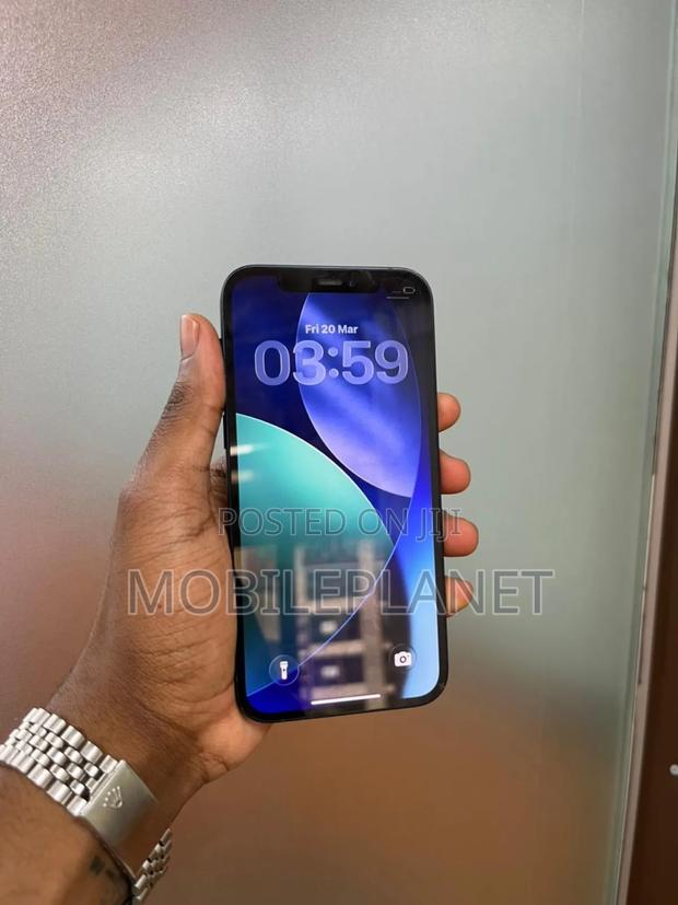 Apple iPhone 11 Pro Max 256 GB Gray - thumbnail 2