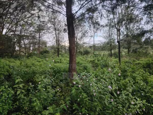 Gold Mine Type of a Land in Kiserian. Prime 6acres
