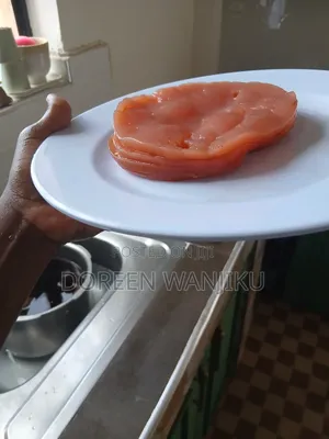 Kombucha Scoby