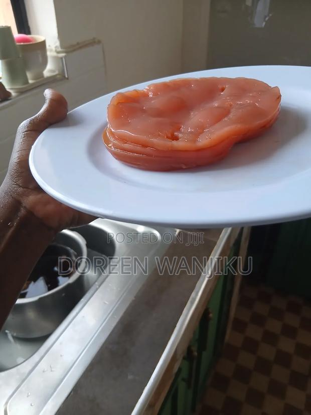 Kombucha Scoby - main view