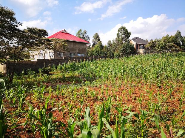 100x100 Prime Plot for Sale in Gikambura Kikuyu.