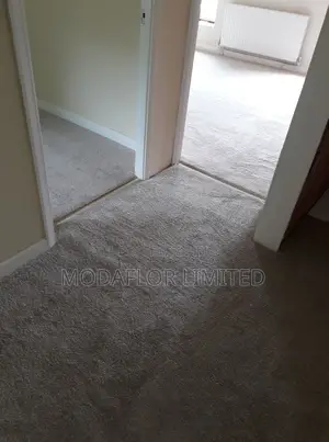 Wall to Wall Carpet Flooring for Offices and Commercial Spaces