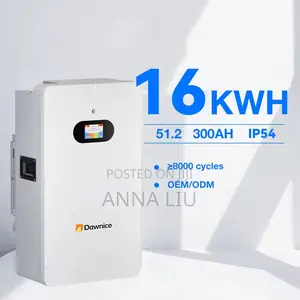 16kwh Dawnice Wall-Type Lithium 51.2v 314ah Pack