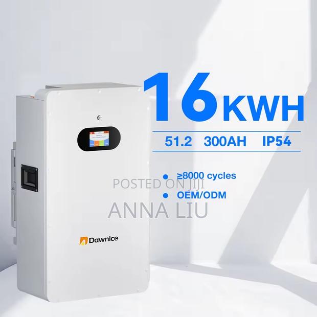 16kwh Dawnice Wall-Type Lithium 51.2v 314ah Pack - main view
